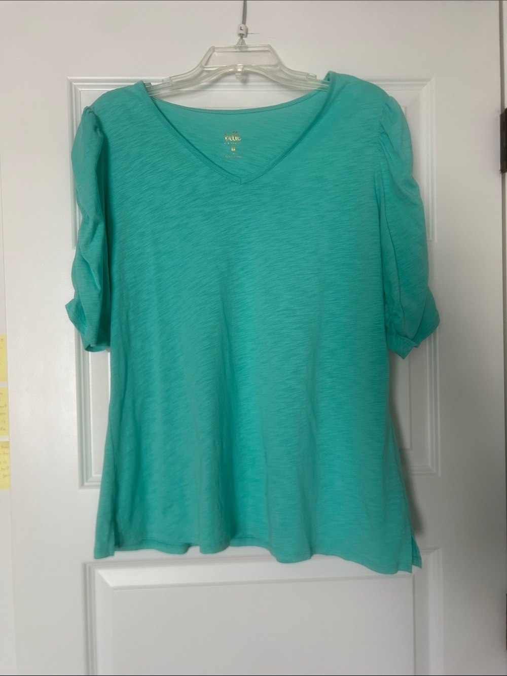 Belle by Kim Gravel Teal V-Neck Short Puff Sleeve Top